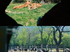 -西安秦岭野生动物园