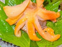 -喜聚薈·花膠雞海鮮火鍋(越秀店)