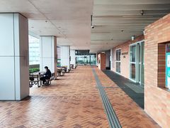 -香港大学