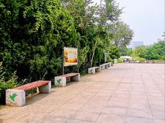 -绿岛公园(滨海新区)
