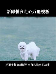 -浙江1+1主持人工作室