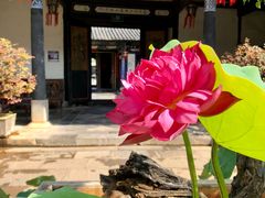 -朱家花园