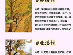 -四明山国家森林公园