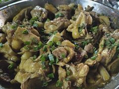 -鲤鱼塘农家山庄