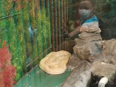 -上海大自然野生昆虫馆(东方明珠·爬宠昆虫探索中心)