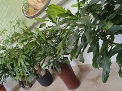 -茶油香闽南菜·花园餐厅(前埔店)