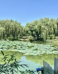 -芙蓉花月子会所(朝阳区店)