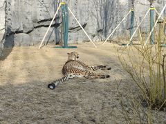 -北京野生动物园