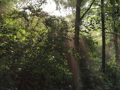 -云溪植物园