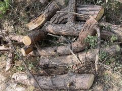 -青龙山国家森林公园