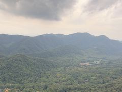 -灵顺寺