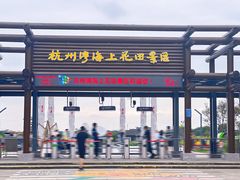 -杭州湾海上花田景区