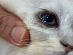 -嘉馨宠物医院·CT影像转诊·心脏科·犬猫全科诊疗中心(下沙大学城院区)