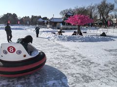 -长春市南湖公园