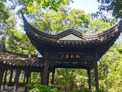 -上海佘山国家森林公园天马山园