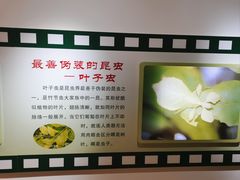 -上海昆虫博物馆