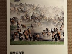 -张掖市博物馆