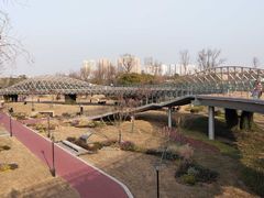 -府河摄影公园