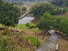 -国恩寺
