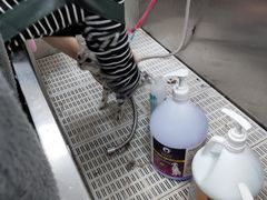 -优米宠物美容(体育场路店)