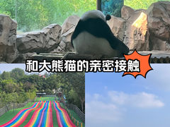 -扬州市茱萸湾风景区