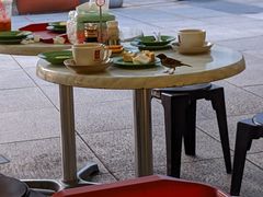 -亚坤(远东广场店)