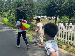 -前小桔亲子创意农场·草莓采摘·露营烧烤