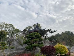 -东莞植物园