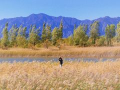 -野鸭湖国家湿地公园