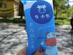 -八大关景区