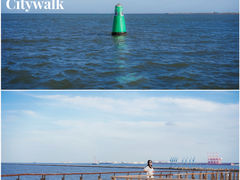 -东疆建设开发纪念公园