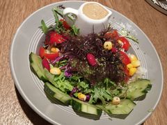 野菜沙拉-铁酱披萨(常州龙湖天街店)