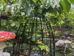 -正佳雨林生态植物园