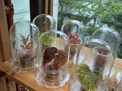 -瑞虹新天地月亮湾