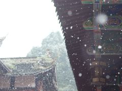 -都江堰普照寺