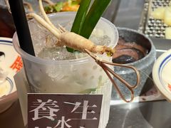 养生熬夜水-张牌牌·东北烤肉小吃市集(金楠天街店)