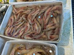 -乐在集市海鲜大排档(平潭店)