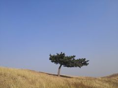 -恋山坝上草原