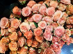 -循礼门鲜花花市(武汉循礼门店)