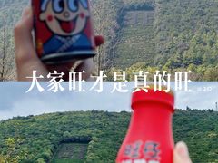 -九龙潭景区