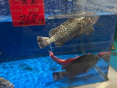 -北塘海鲜·天津菜(大光明桥旗舰店)