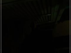 -渔人家宴