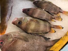 -合家小菜餐馆(新诚花苑店)