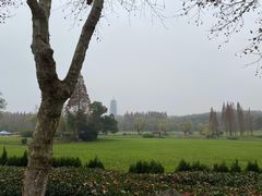 -宜兴龙背山森林公园