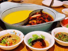 -青瓷火锅料理(西单大悦城店)