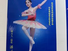 -中央芭蕾舞团·中芭艺蕾(酒仙桥明星校区)