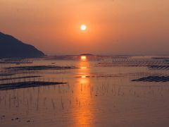 -北岐滩涂