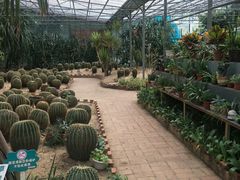 -广东茂名森林公园