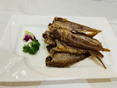 -梅龙镇酒家(南京西路总店)