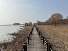 -苏州太湖湖滨国家湿地公园